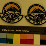 Cover image of  Patch